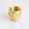 Homeplus+ ATC 1/2 in. Flare Brass Nut 6JC050810721036 - alternate 2
